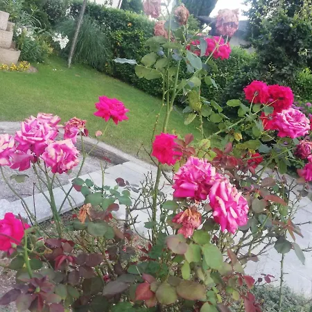 La Fontana * Albese Con Cassano